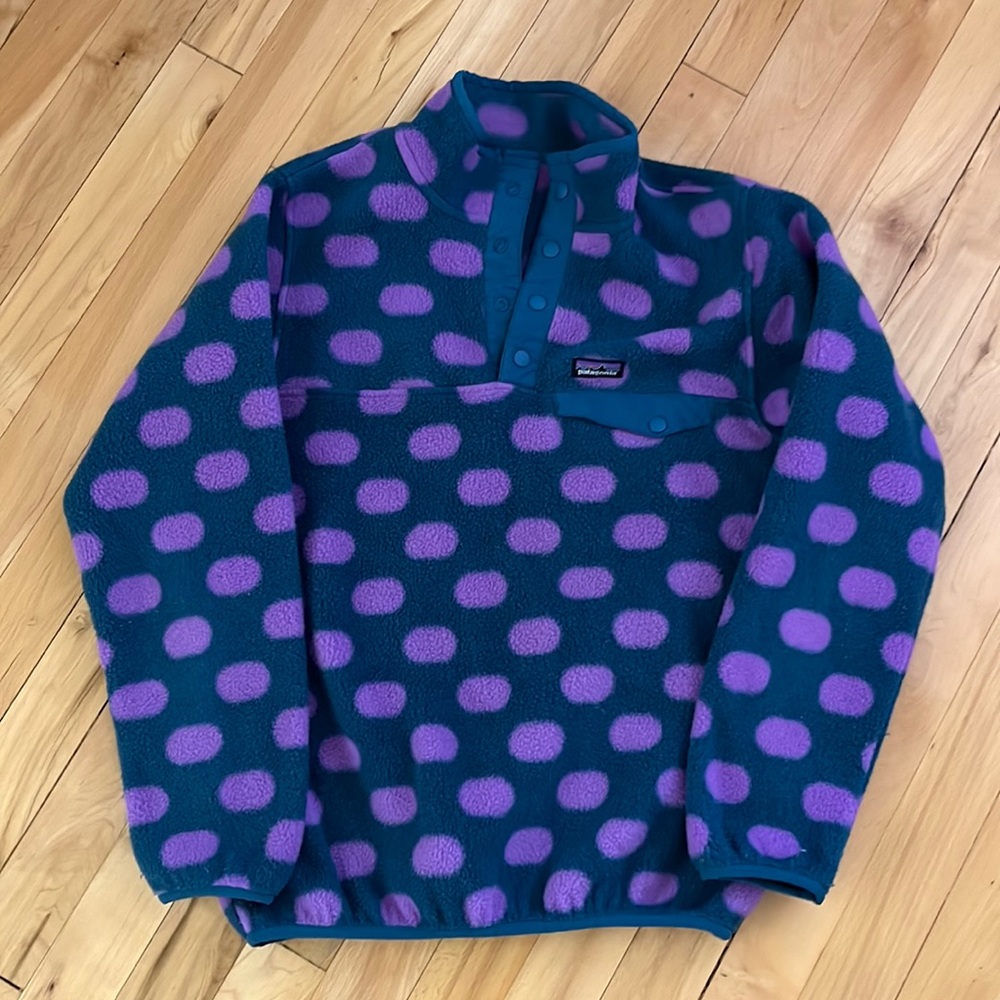 Patagonia Synchilla Fleece